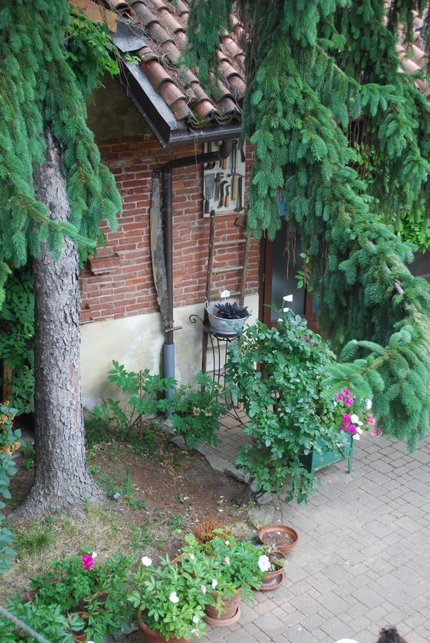 La Curandera Acomodação com café da manhã Rosta Exterior foto